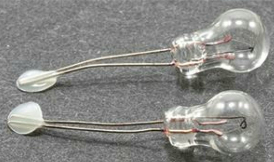 Bi-Pin Pea Bulb - 4 Pack