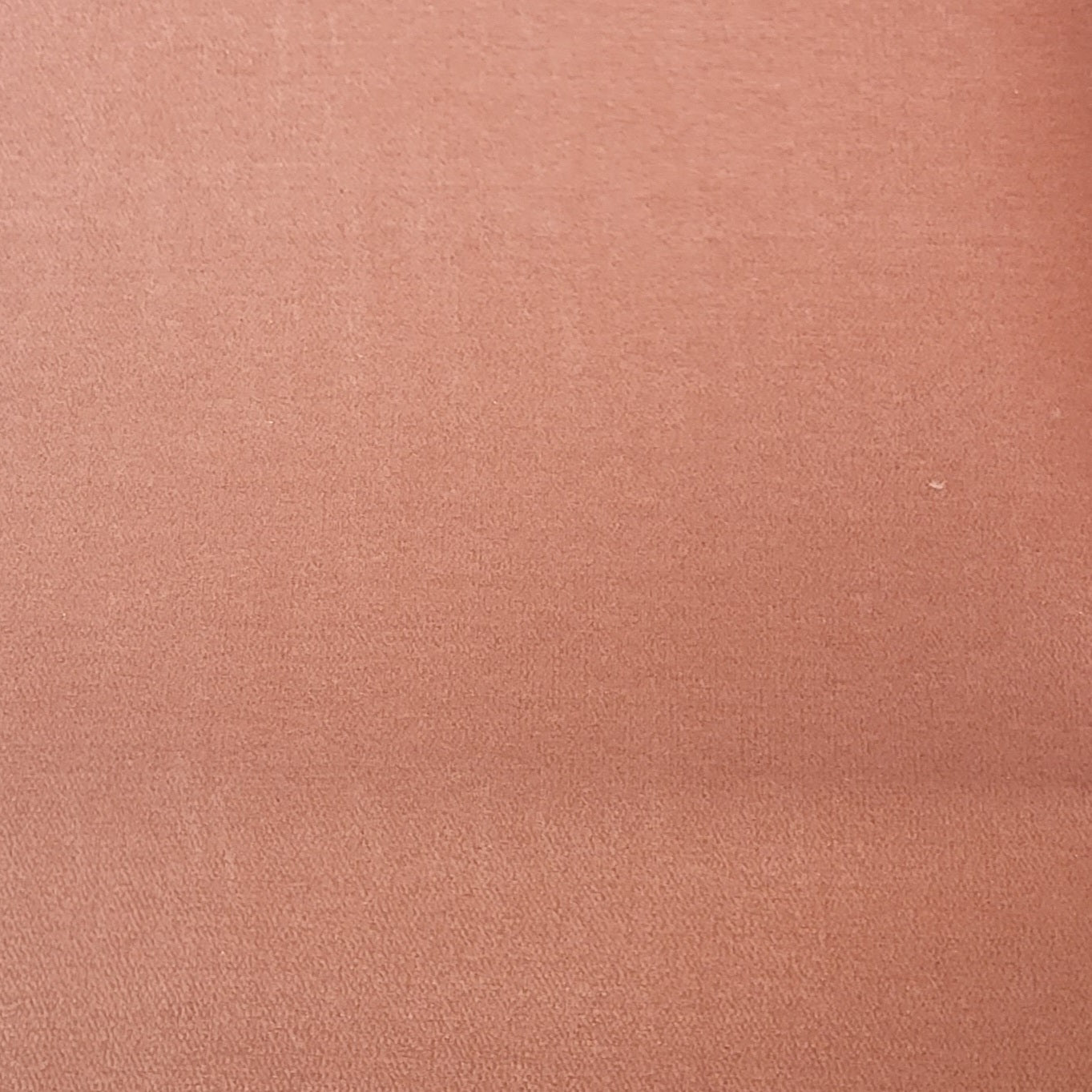 Carpet Dark Salmon by New Creations