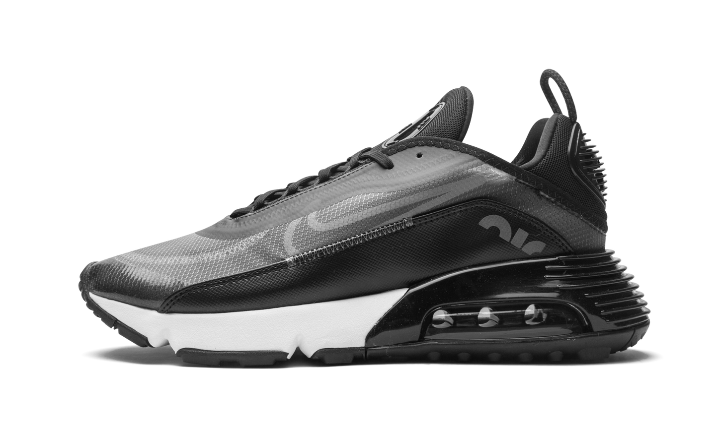 AIR MAX 2090 "Black / Wolf Grey" CW7306 001