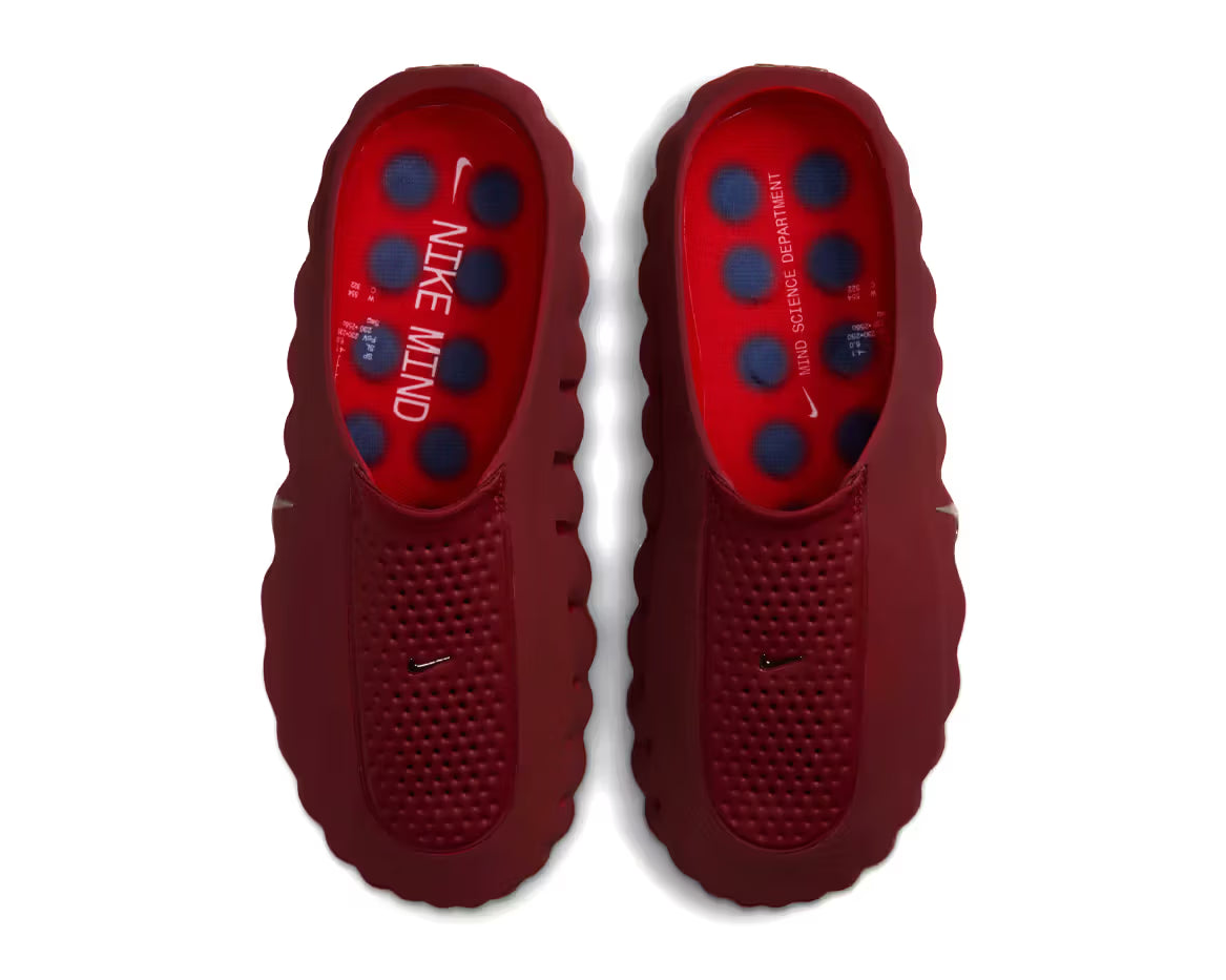 Mind 001 Slide Team Red University Red