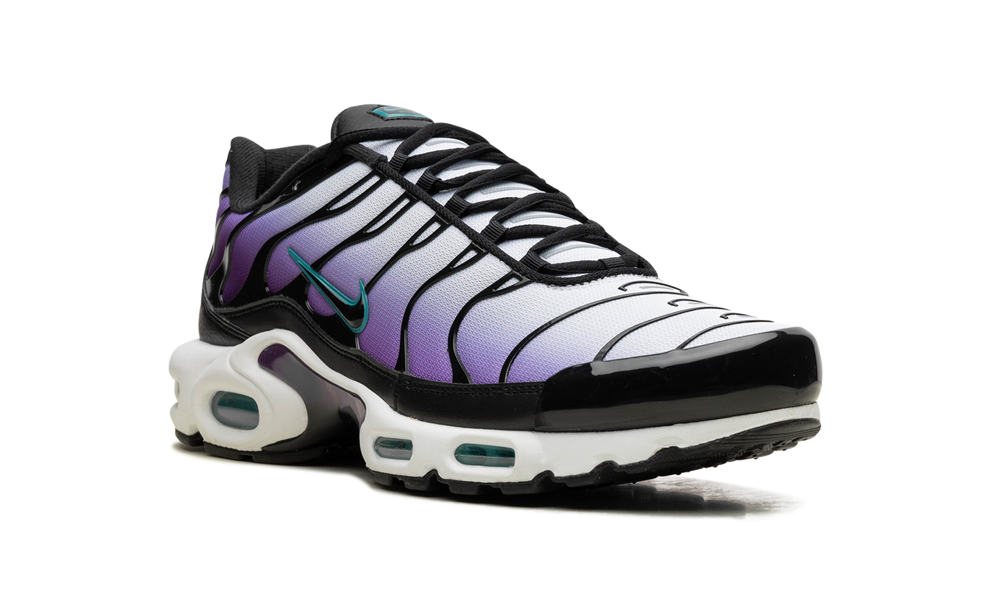 Air Max Plus "Reverse Grape" FQ2415 500