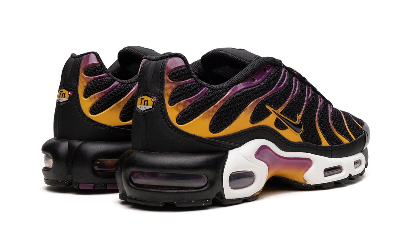 Air Max Plus DX2663 001