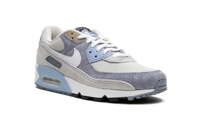 Air Max 90 "Ashen Slate" DM0035 400