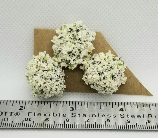 Border Plant, White, Large