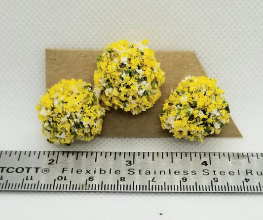 Border Plant, Yellow-White, Large