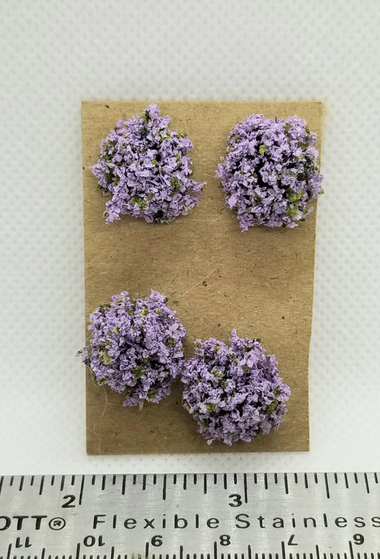 Border Plant, Purple, Small