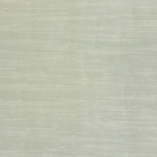 Springtime Solid - Light Grey - Mini Graphics