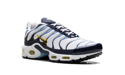 Air Max Plus CT1094 100