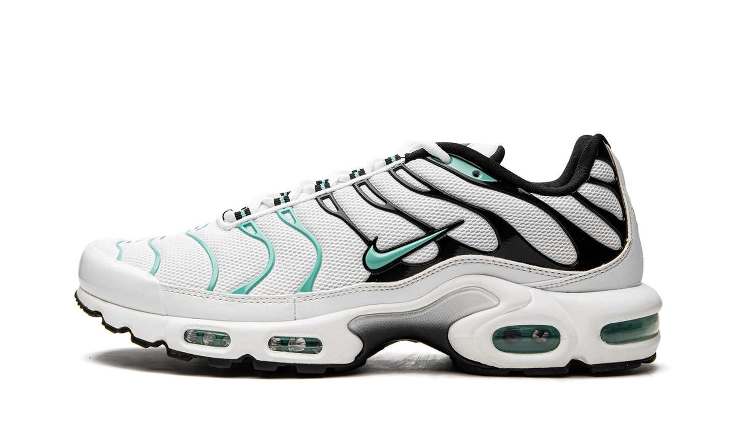 Air Max Plus "Atmos" 604133 148