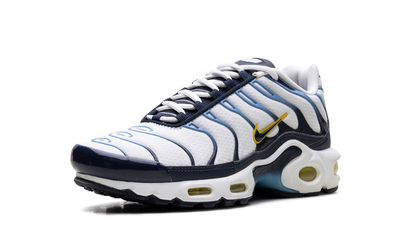 Air Max Plus CT1094 100