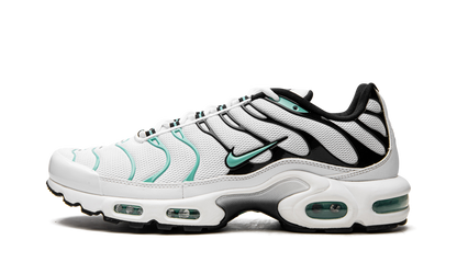 Air Max Plus "Atmos" 604133 148