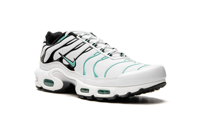 Air Max Plus "Atmos" 604133 148