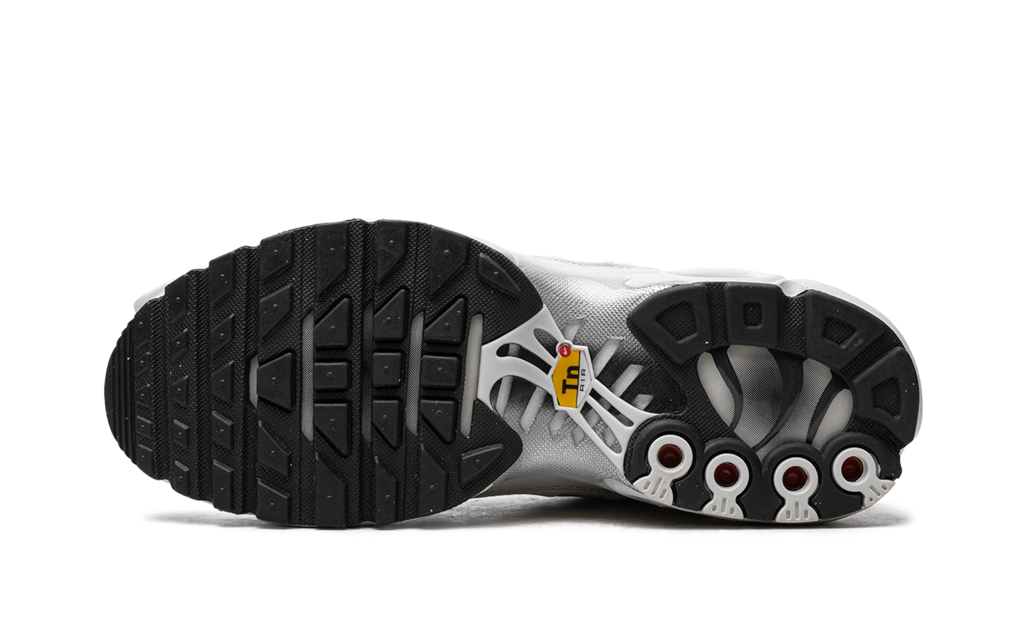 Air Max Plus WMNS "Platinum Tint" FZ4342 001