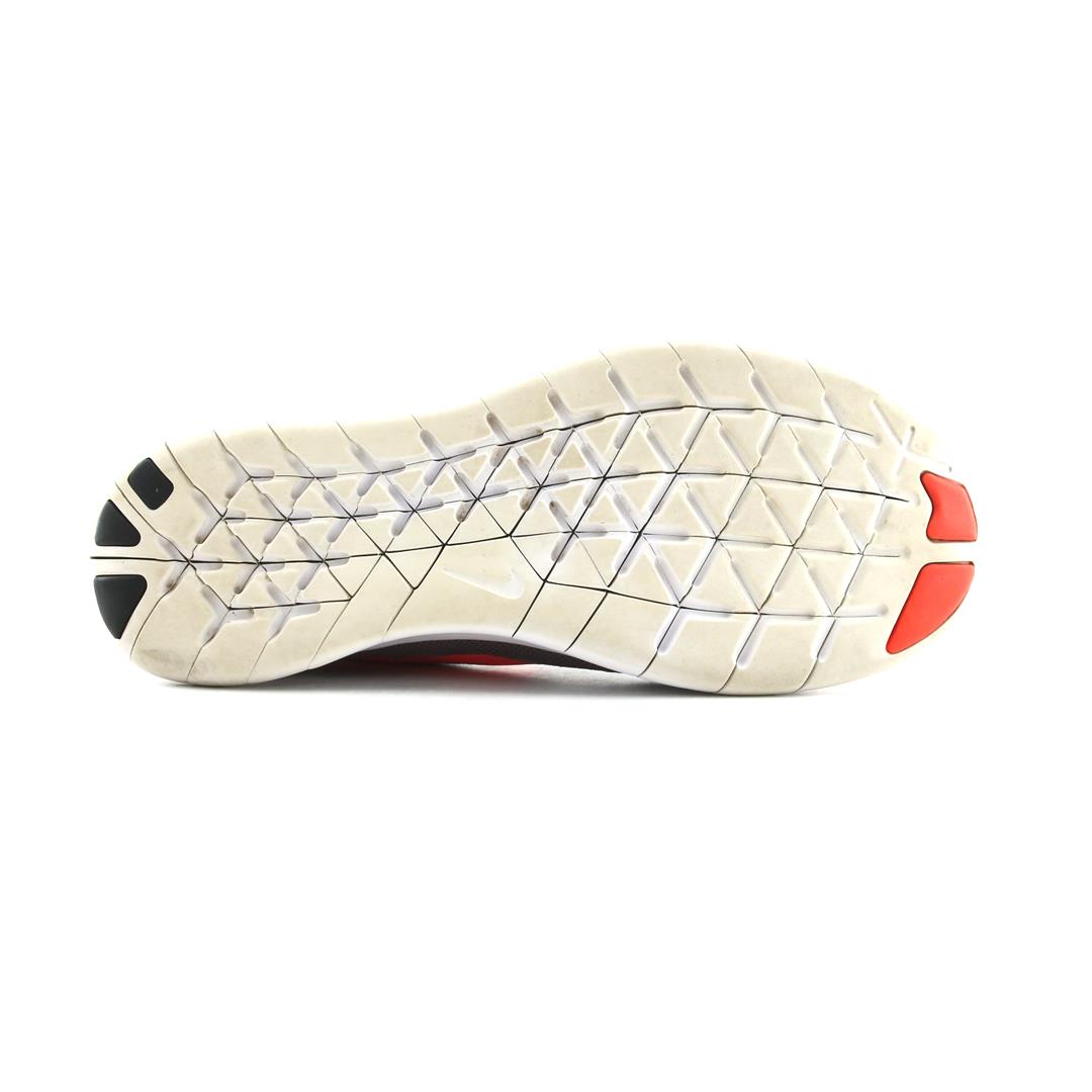 FREE RN 2017