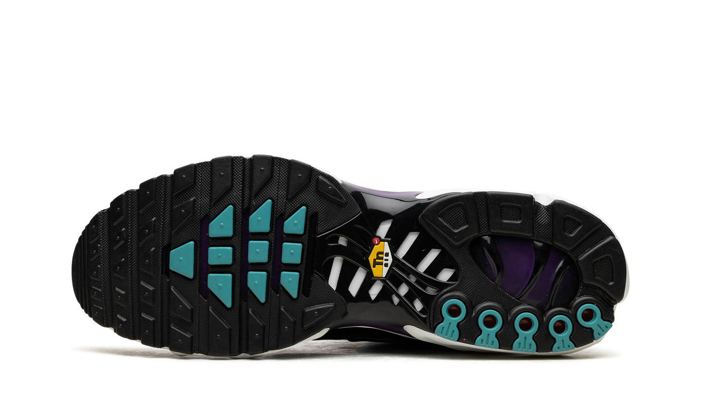 Air Max Plus "Reverse Grape" FQ2415 500