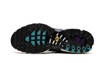 Air Max Plus "Reverse Grape" FQ2415 500