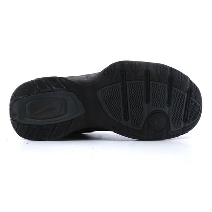 AIR MONARCH IV