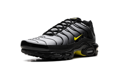 Air Max Plus "Wolf Grey Opti Yellow" DM0032 012