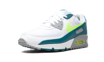 Air Max 90 "Spruce Lime" CZ2908 100
