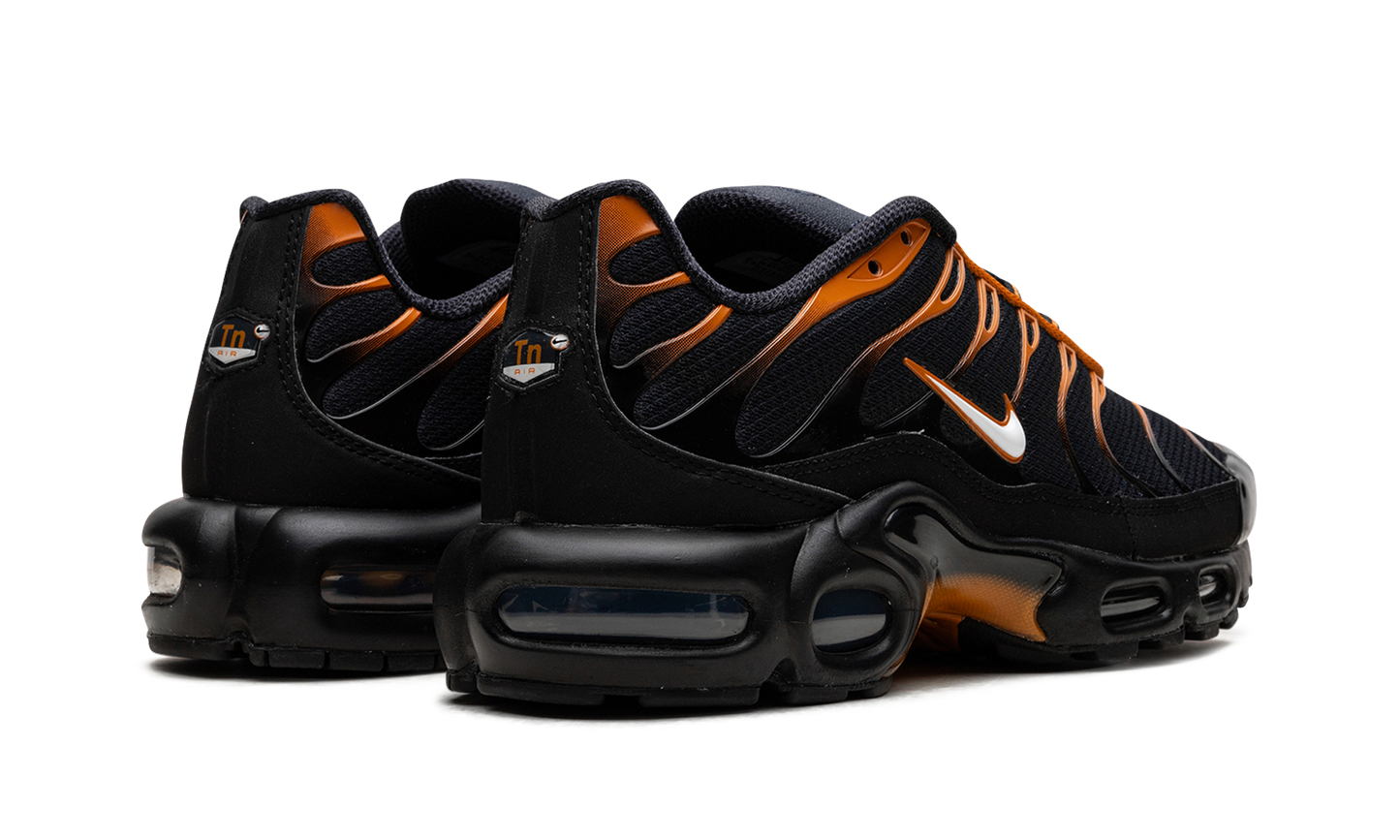 Air Max Plus "OBSIDIAN MONARCH" FN6949 400