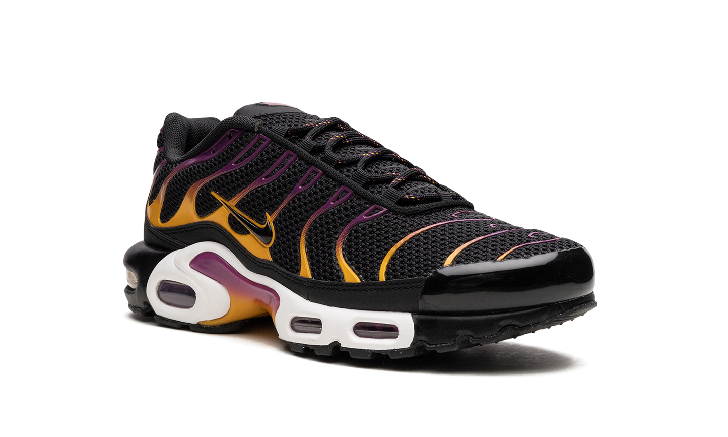Air Max Plus DX2663 001