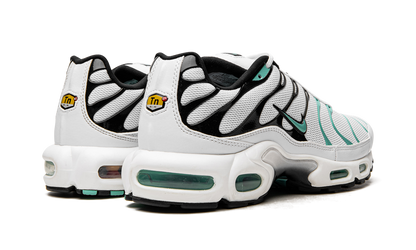 Air Max Plus "Atmos" 604133 148
