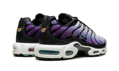 Air Max Plus "Reverse Grape" FQ2415 500