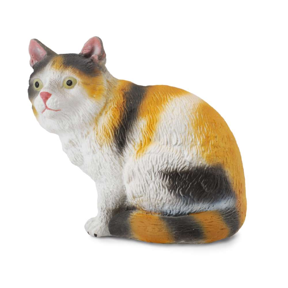 3 Colour House Cat Sitting