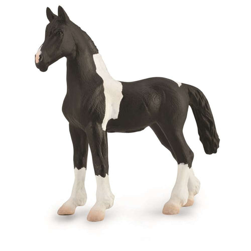 Barock Pinto Foal