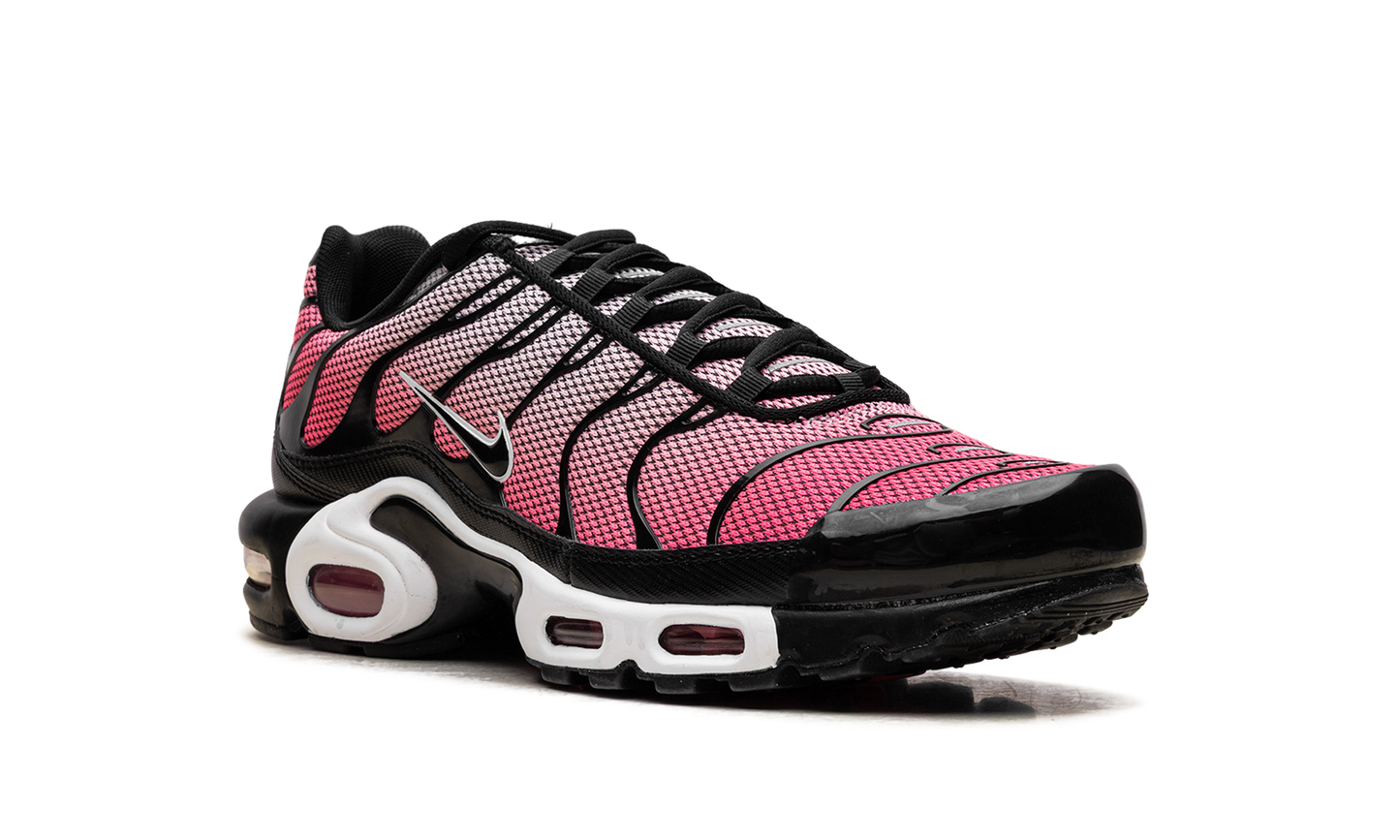 Air Max Plus "All Day" HF3837 600