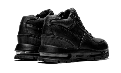Air Max Goadome PS 311568 001