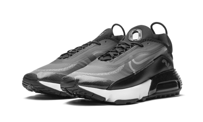 AIR MAX 2090 "Black / Wolf Grey" CW7306 001