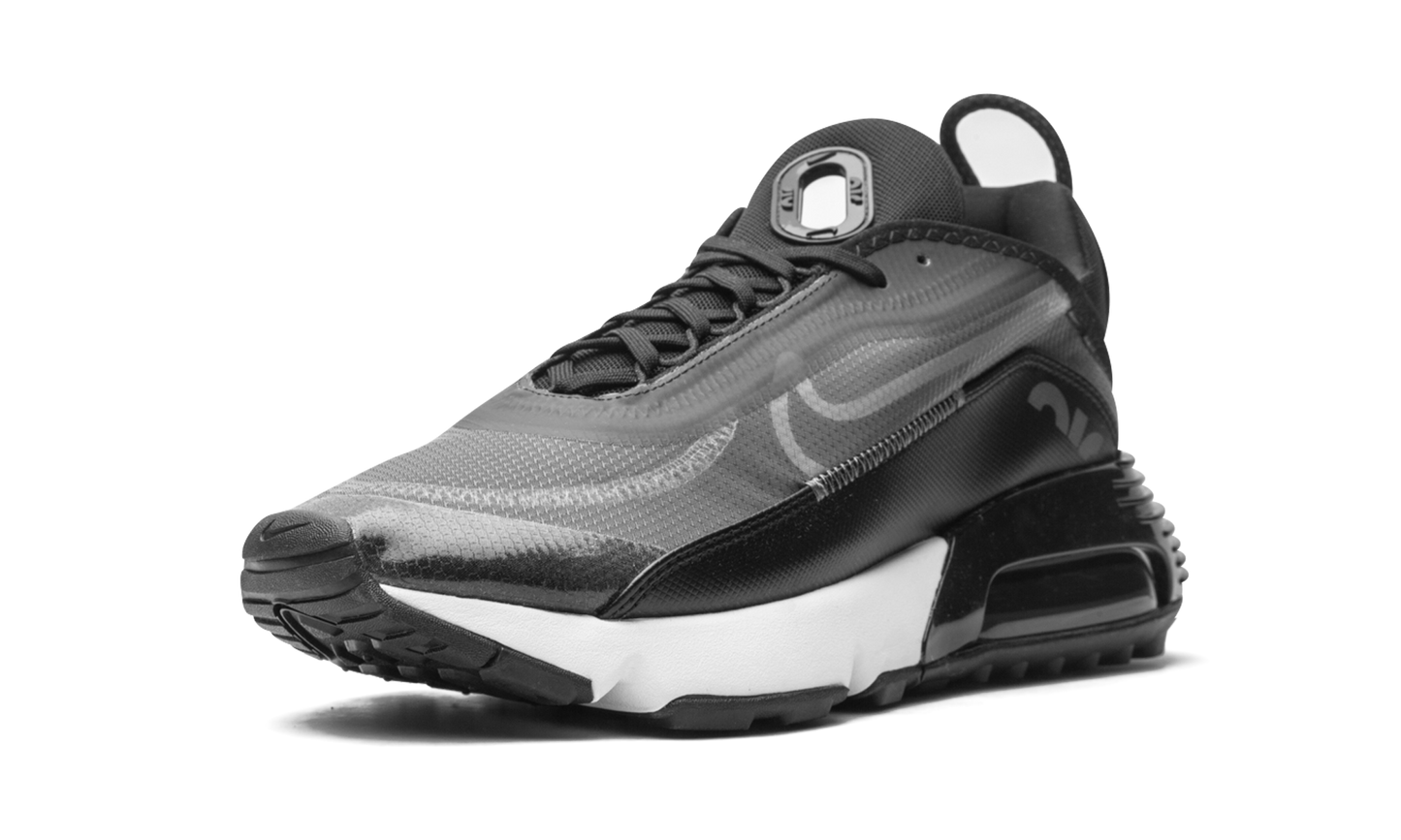 AIR MAX 2090 "Black / Wolf Grey" CW7306 001