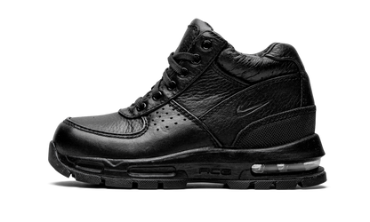 Air Max Goadome PS 311568 001