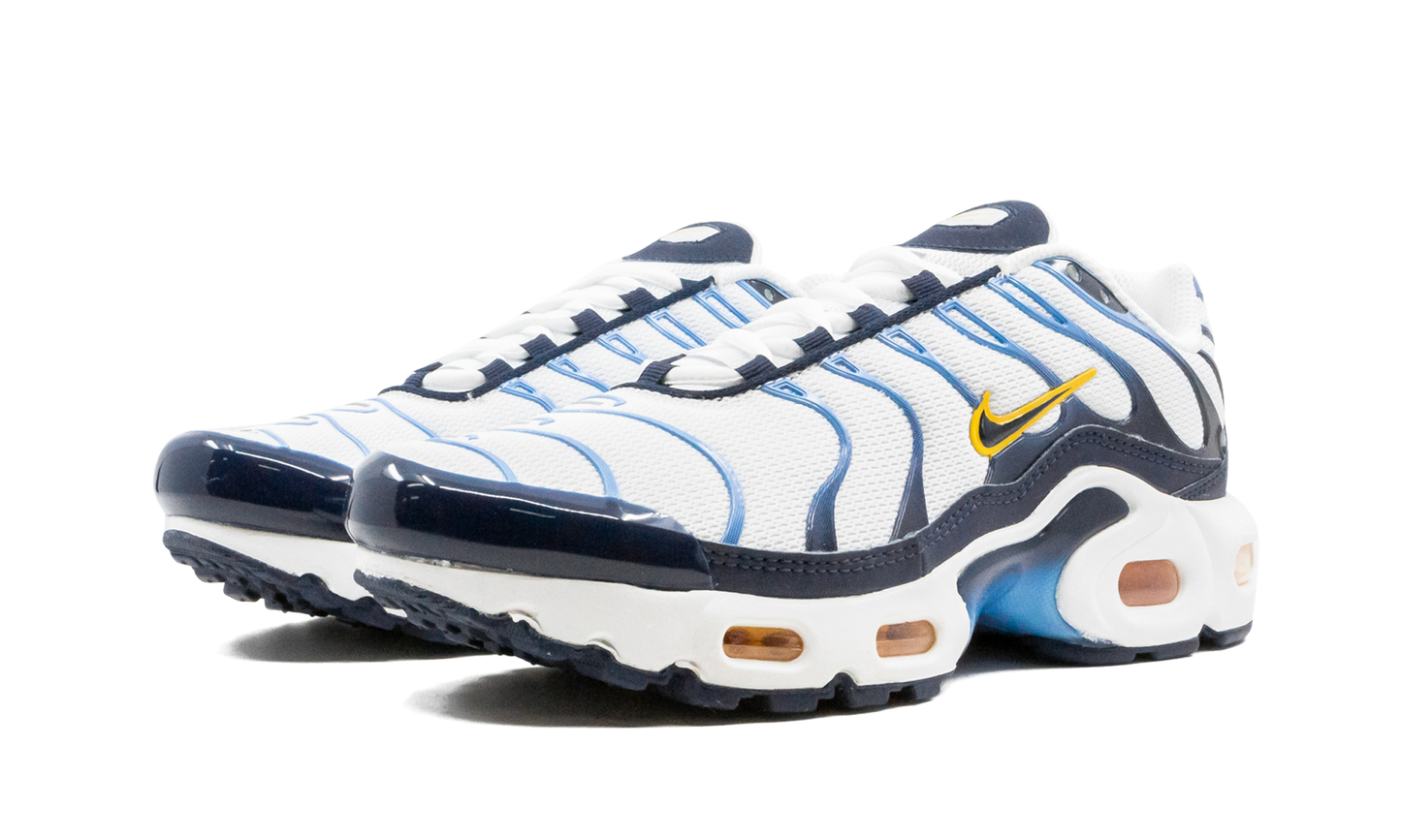 Air Max Plus CD0609 100