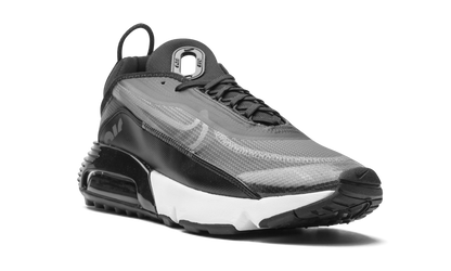 AIR MAX 2090 "Black / Wolf Grey" CW7306 001