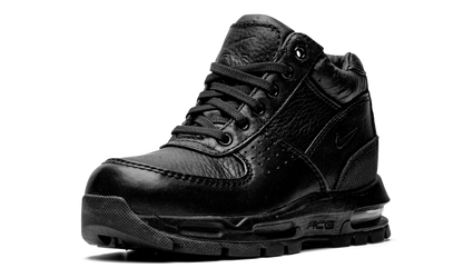 Air Max Goadome PS 311568 001