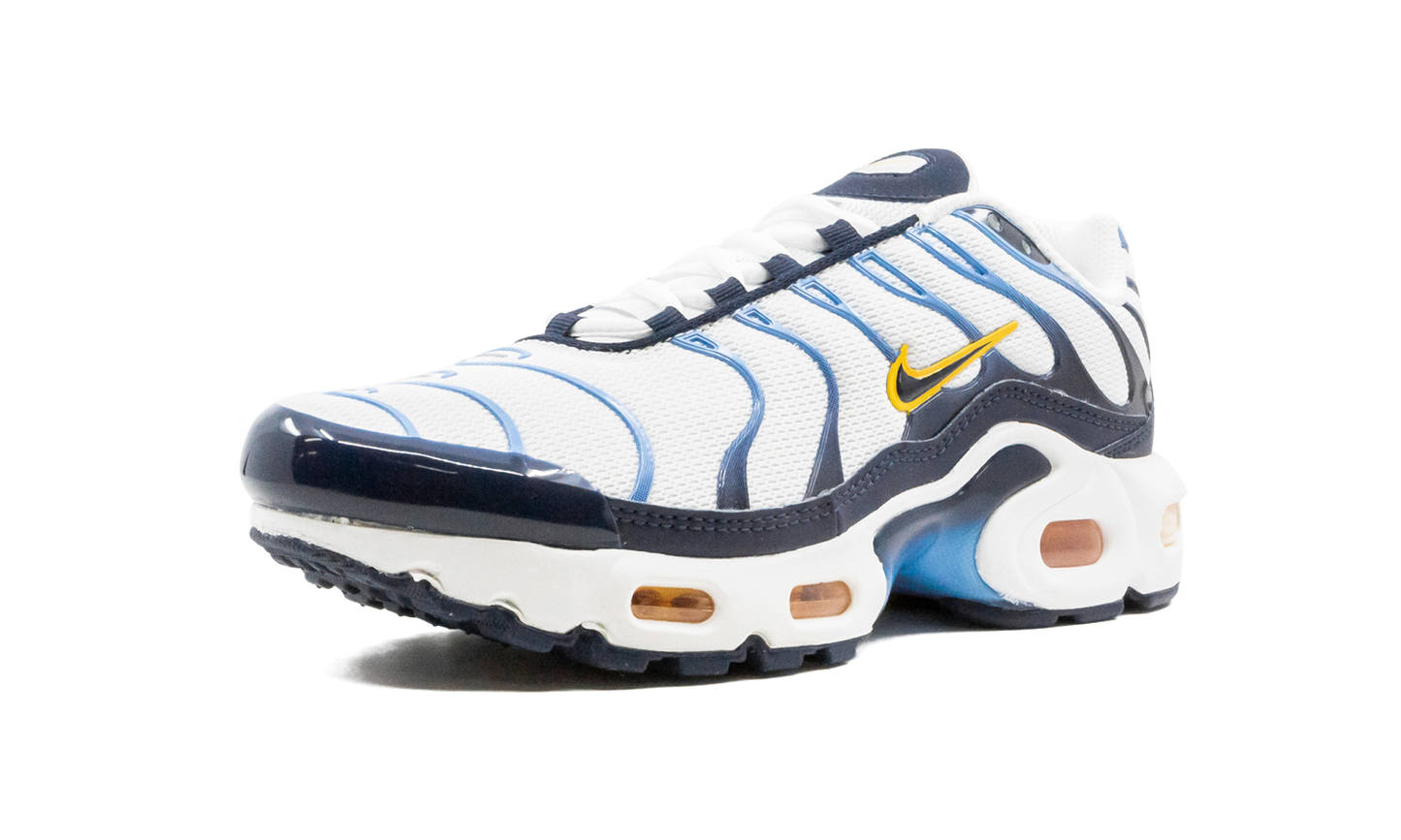 Air Max Plus CD0609 100