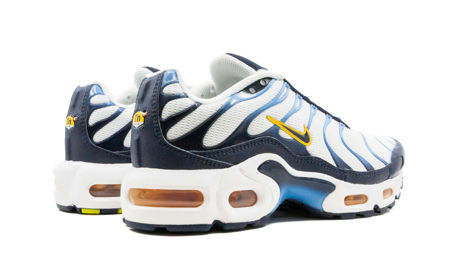 Air Max Plus CD0609 100