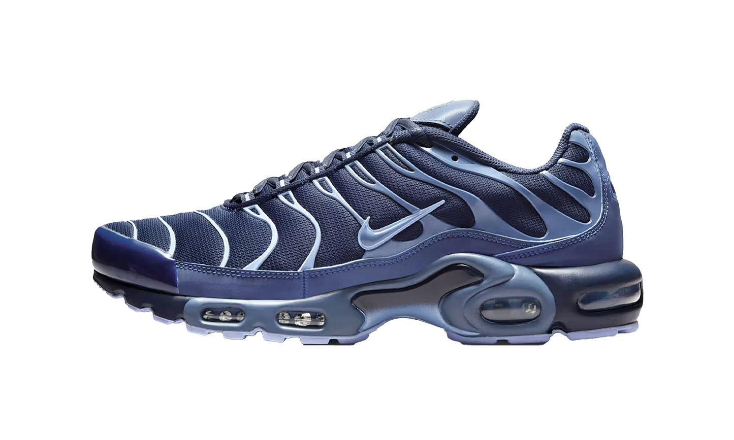 Air Max Plus "Obsidian / Diffused Blue" IM6601 451