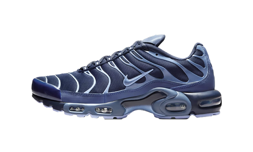 Air Max Plus "Obsidian / Diffused Blue" IM6601 451