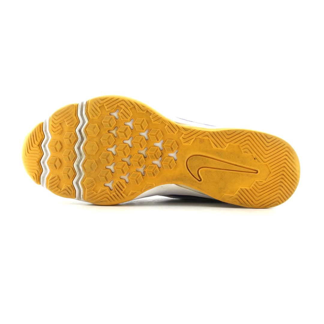 AIR ZOOM ISU TIGER