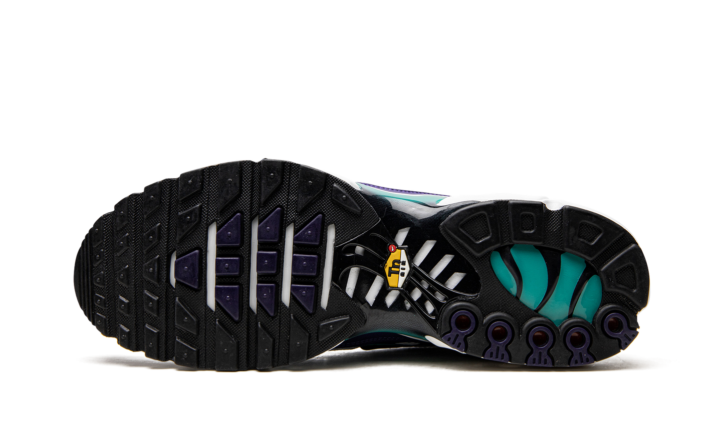 Air Max Plus "Grape" DM0032 100