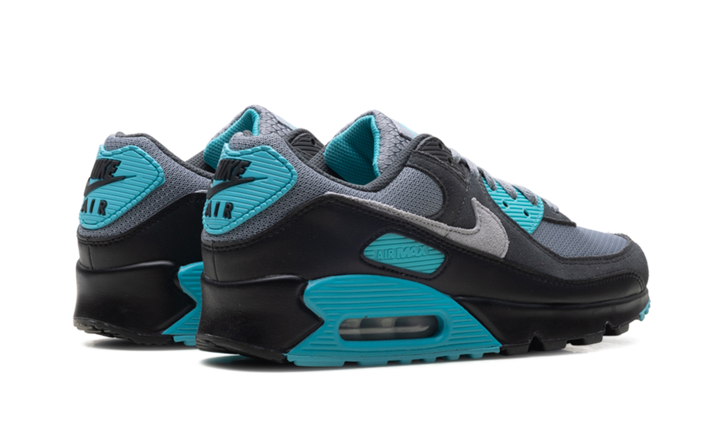Air Max 90 "Dusty Cactus" DM0029 013