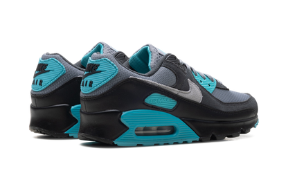 Air Max 90 "Dusty Cactus" DM0029 013