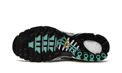 Air Max Plus "Atmos" 604133 148