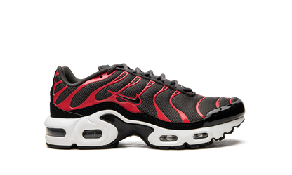 Air Max Plus GS CD0609 200