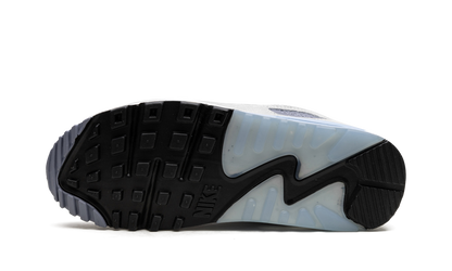 Air Max 90 "Ashen Slate" DM0035 400
