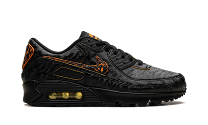 Air Max 90 "Volcano" HF3248 001