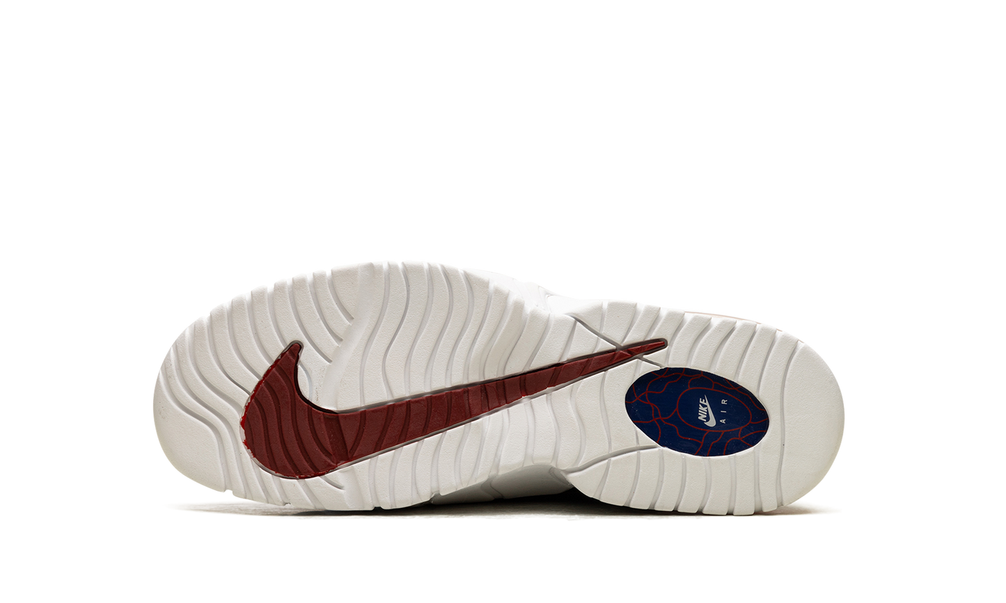 Air Max Penny Le (Gs) 315519 400